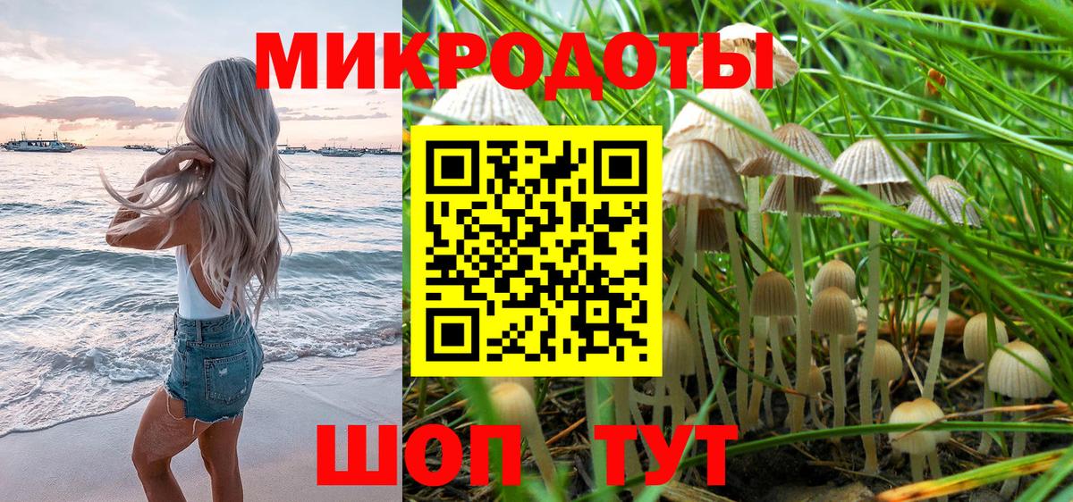 Псилоцибиновые грибы Magic Shrooms Печора